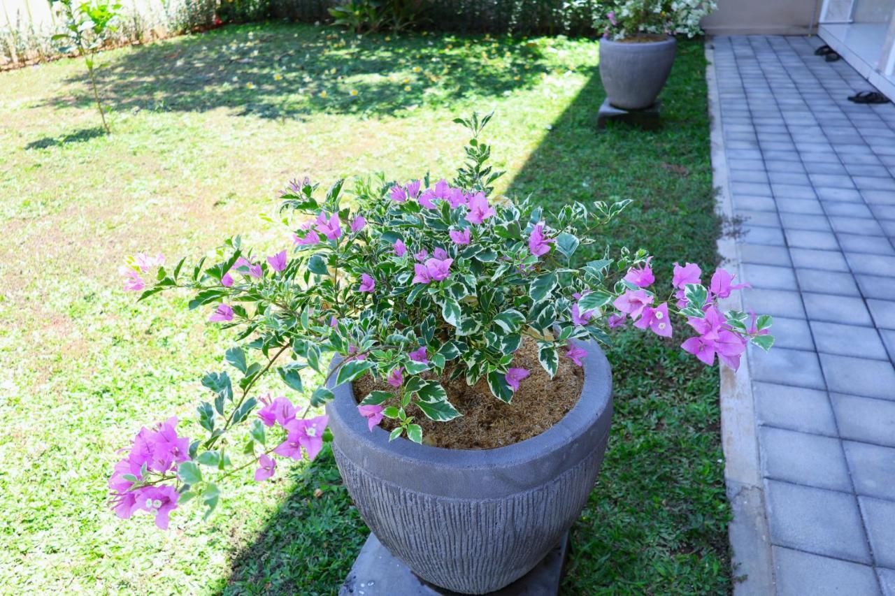 Pondok Dete Guesthouse Sanur  Ngoại thất bức ảnh